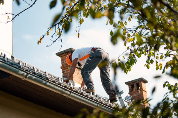 Quick and Trustworthy Emergency Roof Repair Services in East Cleveland, OH