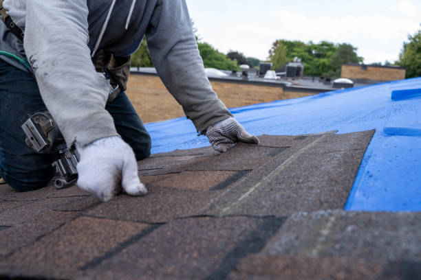 Best Roofing Contractor Near Me  in East Cleveland, OH